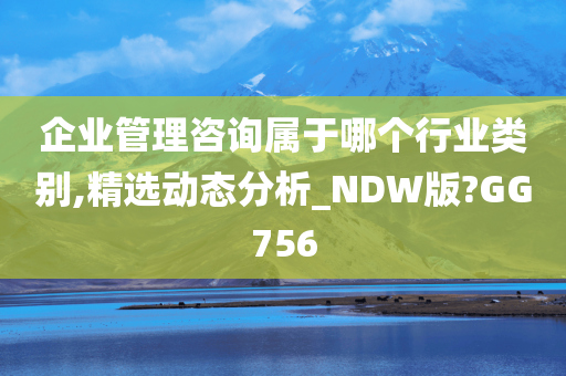 企业管理咨询属于哪个行业类别,精选动态分析_NDW版?GG756