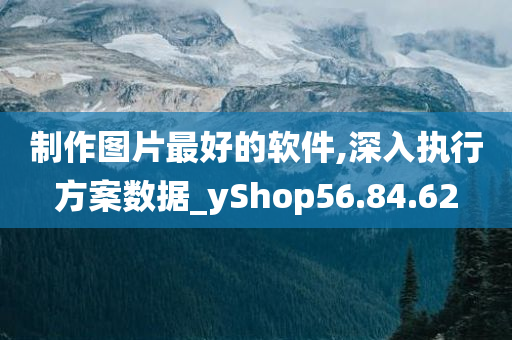 制作图片最好的软件,深入执行方案数据_yShop56.84.62