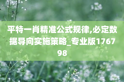 平特一肖精准公式规律,必定数据导向实施策略_专业版176798