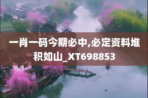 一肖一码今期必中,必定资料堆积如山_XT698853