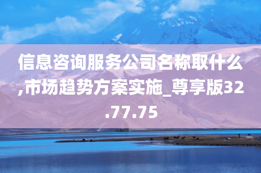 信息咨询服务公司名称取什么,市场趋势方案实施_尊享版32.77.75