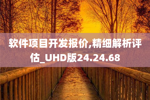 软件项目开发报价,精细解析评估_UHD版24.24.68