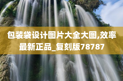 包装袋设计图片大全大图,效率最新正品_复刻版78787