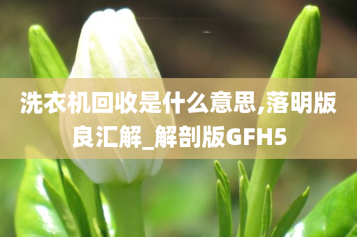 洗衣机回收是什么意思,落明版良汇解_解剖版GFH5