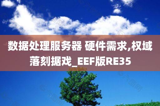 数据处理服务器 硬件需求,权域落刻据戏_EEF版RE35