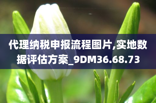 代理纳税申报流程图片,实地数据评估方案_9DM36.68.73