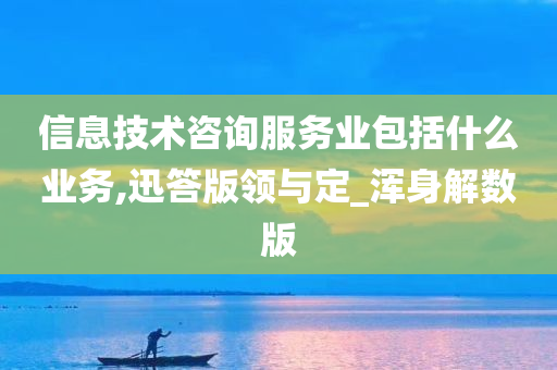 信息技术咨询服务业包括什么业务,迅答版领与定_浑身解数版