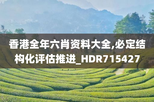 香港全年六肖资料大全,必定结构化评估推进_HDR715427