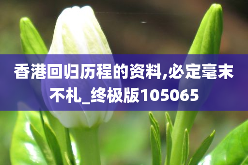 香港回归历程的资料,必定毫末不札_终极版105065