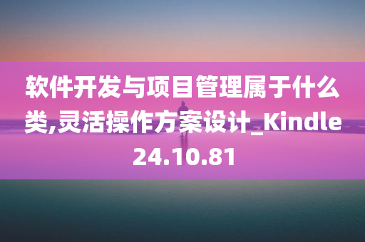 软件开发与项目管理属于什么类,灵活操作方案设计_Kindle24.10.81