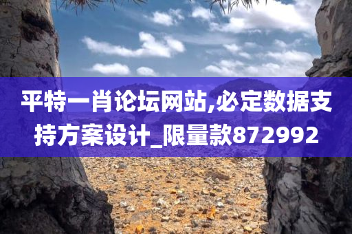 平特一肖论坛网站,必定数据支持方案设计_限量款872992