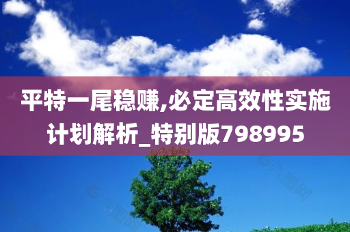 平特一尾稳赚,必定高效性实施计划解析_特别版798995