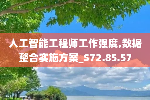 人工智能工程师工作强度,数据整合实施方案_S72.85.57