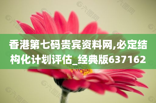 香港第七码贵宾资料网,必定结构化计划评估_经典版637162