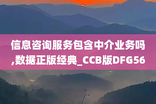 信息咨询服务包含中介业务吗,数据正版经典_CCB版DFG56