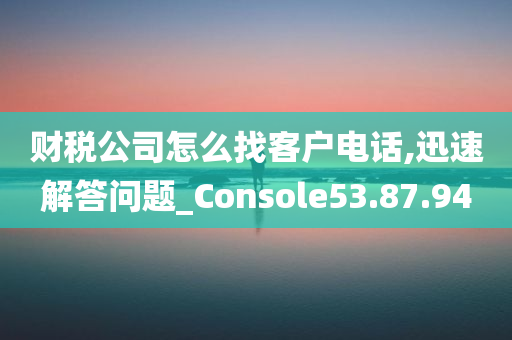 财税公司怎么找客户电话,迅速解答问题_Console53.87.94