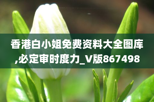 香港白小姐免费资料大全图库,必定审时度力_V版867498