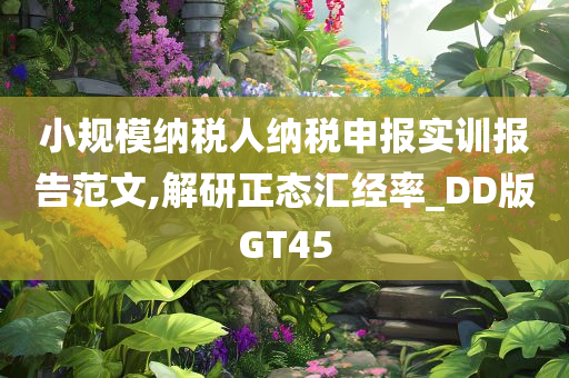 小规模纳税人纳税申报实训报告范文,解研正态汇经率_DD版GT45