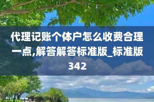 代理记账个体户怎么收费合理一点,解答解答标准版_标准版342