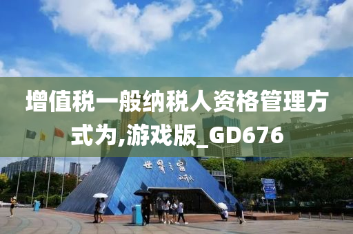 增值税一般纳税人资格管理方式为,游戏版_GD676