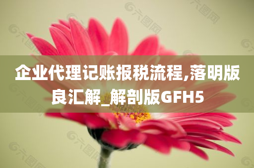 企业代理记账报税流程,落明版良汇解_解剖版GFH5