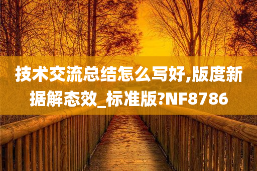 技术交流总结怎么写好,版度新据解态效_标准版?NF8786