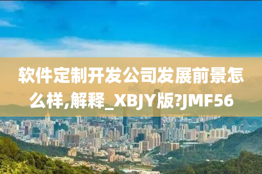 软件定制开发公司发展前景怎么样,解释_XBJY版?JMF56