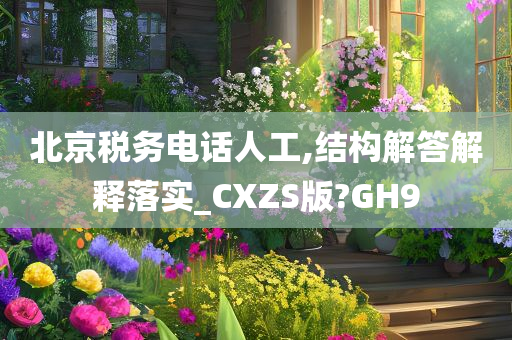 北京税务电话人工,结构解答解释落实_CXZS版?GH9