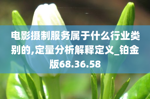 电影摄制服务属于什么行业类别的,定量分析解释定义_铂金版68.36.58