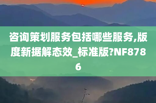 咨询策划服务包括哪些服务,版度新据解态效_标准版?NF8786