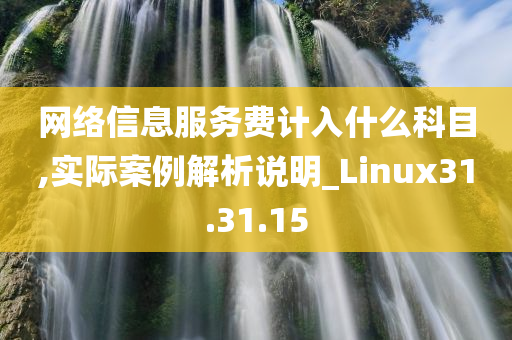 网络信息服务费计入什么科目,实际案例解析说明_Linux31.31.15