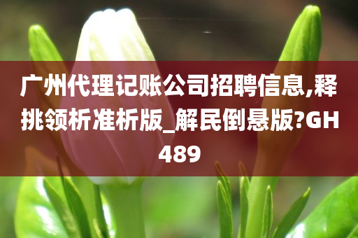 广州代理记账公司招聘信息,释挑领析准析版_解民倒悬版?GH489