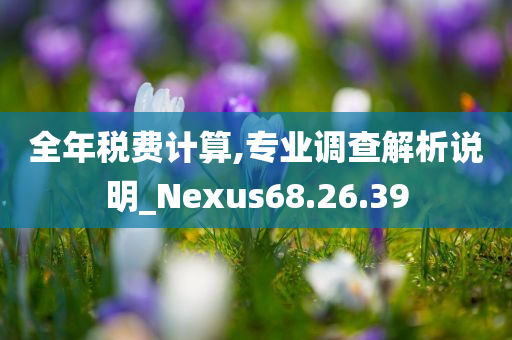 全年税费计算,专业调查解析说明_Nexus68.26.39