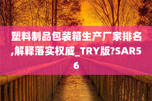 塑料制品包装箱生产厂家排名,解释落实权威_TRY版?SAR56