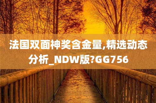 法国双面神奖含金量,精选动态分析_NDW版?GG756