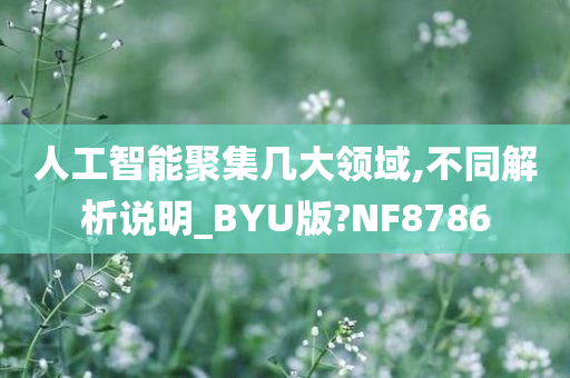 人工智能聚集几大领域,不同解析说明_BYU版?NF8786