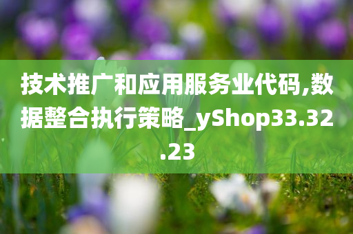 技术推广和应用服务业代码,数据整合执行策略_yShop33.32.23