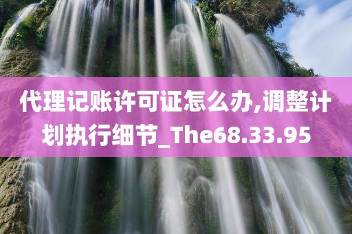 代理记账许可证怎么办,调整计划执行细节_The68.33.95