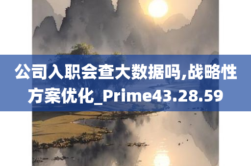 公司入职会查大数据吗,战略性方案优化_Prime43.28.59