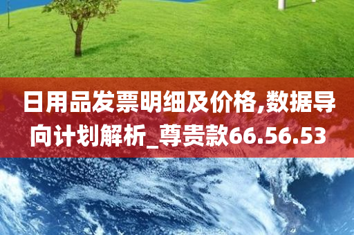 日用品发票明细及价格,数据导向计划解析_尊贵款66.56.53