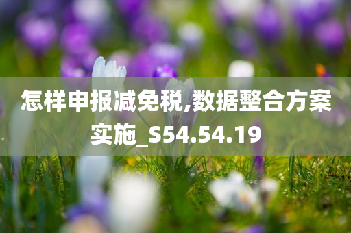 怎样申报减免税,数据整合方案实施_S54.54.19