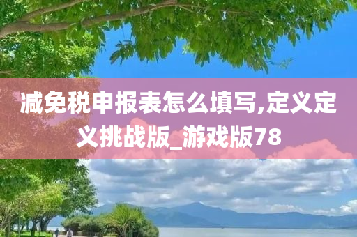 减免税申报表怎么填写,定义定义挑战版_游戏版78