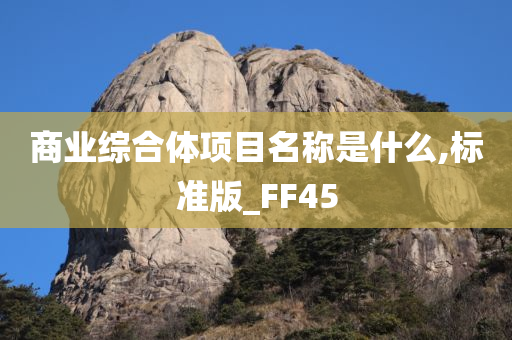 商业综合体项目名称是什么,标准版_FF45