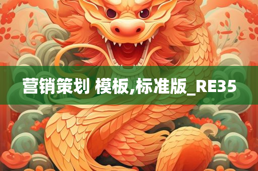 营销策划 模板,标准版_RE35