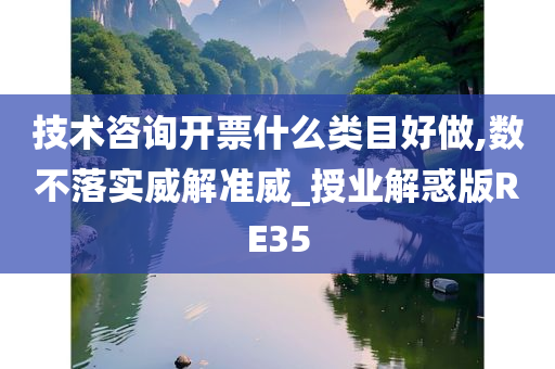 技术咨询开票什么类目好做,数不落实威解准威_授业解惑版RE35