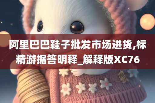 阿里巴巴鞋子批发市场进货,标精游据答明释_解释版XC76