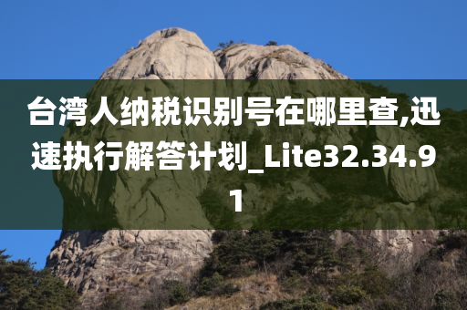 台湾人纳税识别号在哪里查,迅速执行解答计划_Lite32.34.91