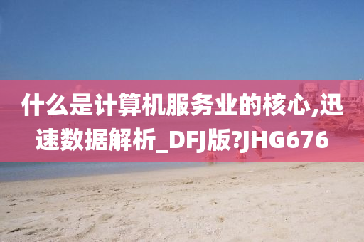 什么是计算机服务业的核心,迅速数据解析_DFJ版?JHG676