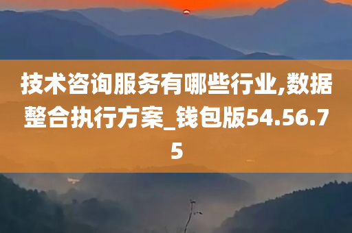 技术咨询服务有哪些行业,数据整合执行方案_钱包版54.56.75