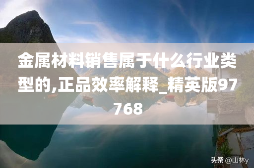 金属材料销售属于什么行业类型的,正品效率解释_精英版97768